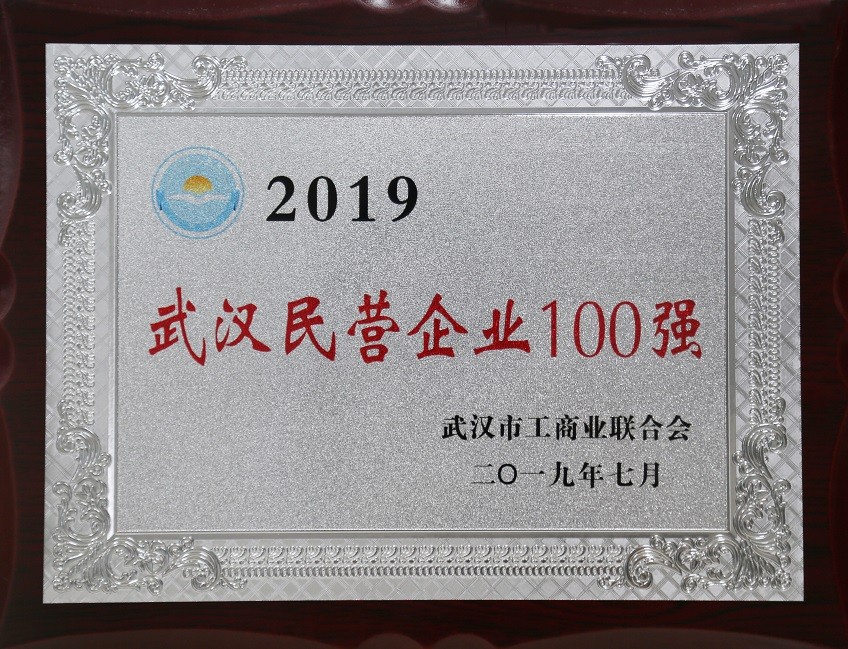 2019武汉企业百强